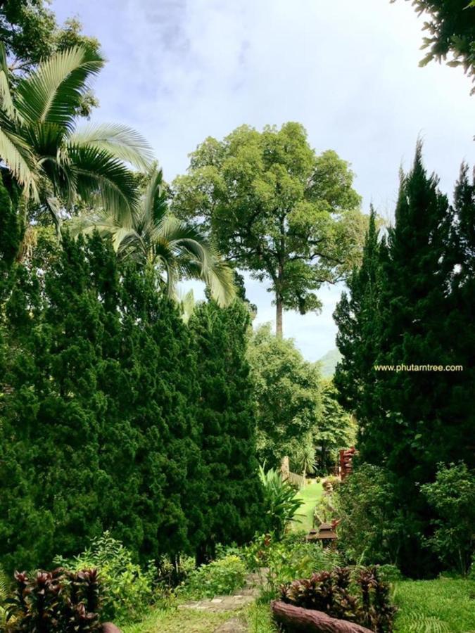 Phutarntree Resort Chiang Mai Extérieur photo