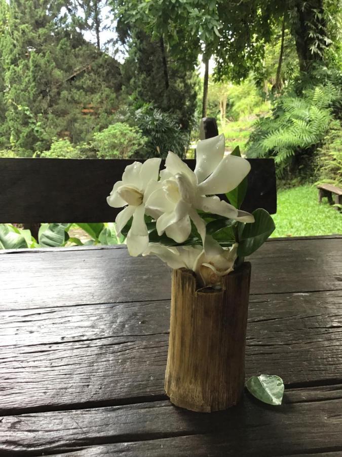 Phutarntree Resort Chiang Mai Extérieur photo